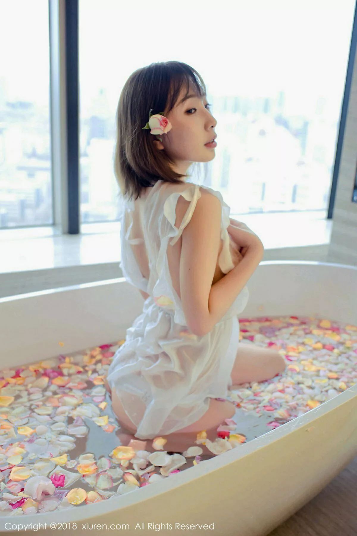 枝恩写真