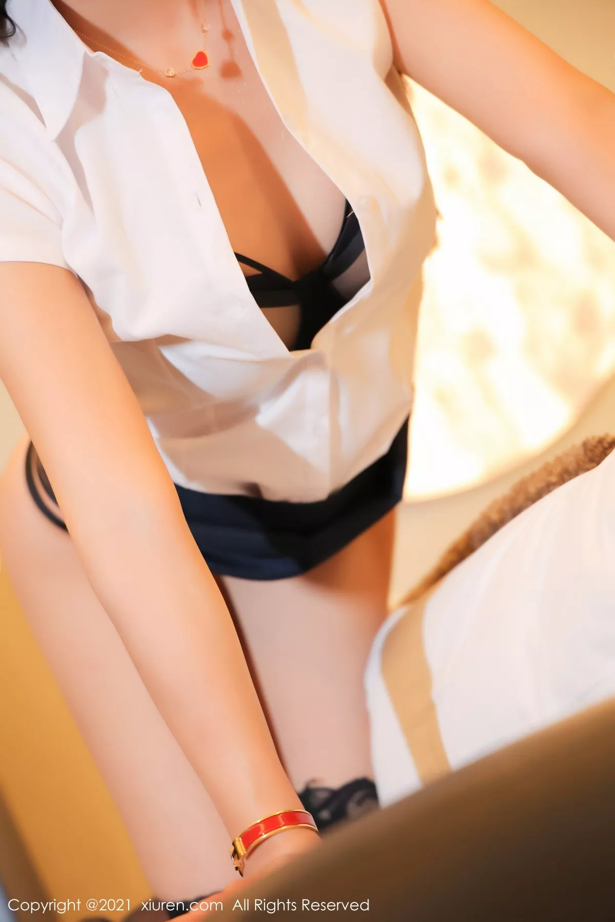 蓝莓写真