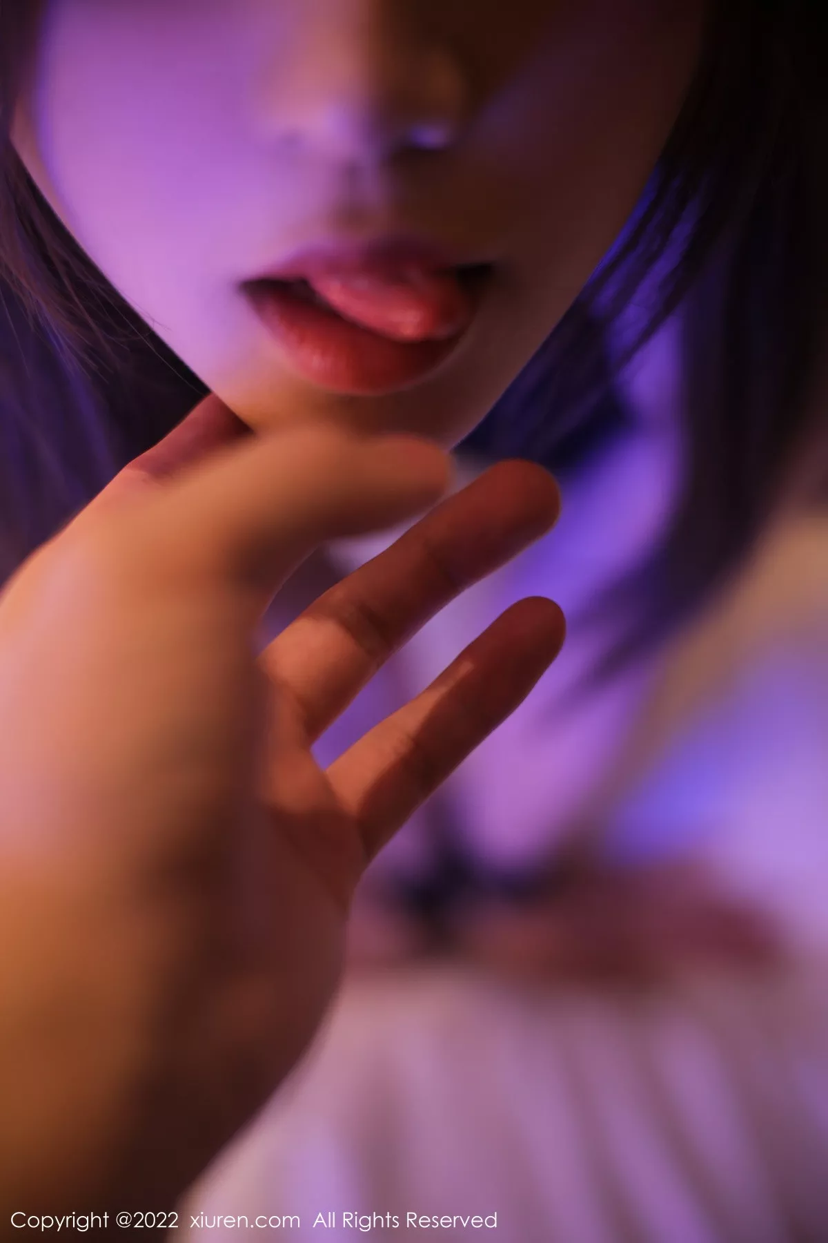 Icy猪写真