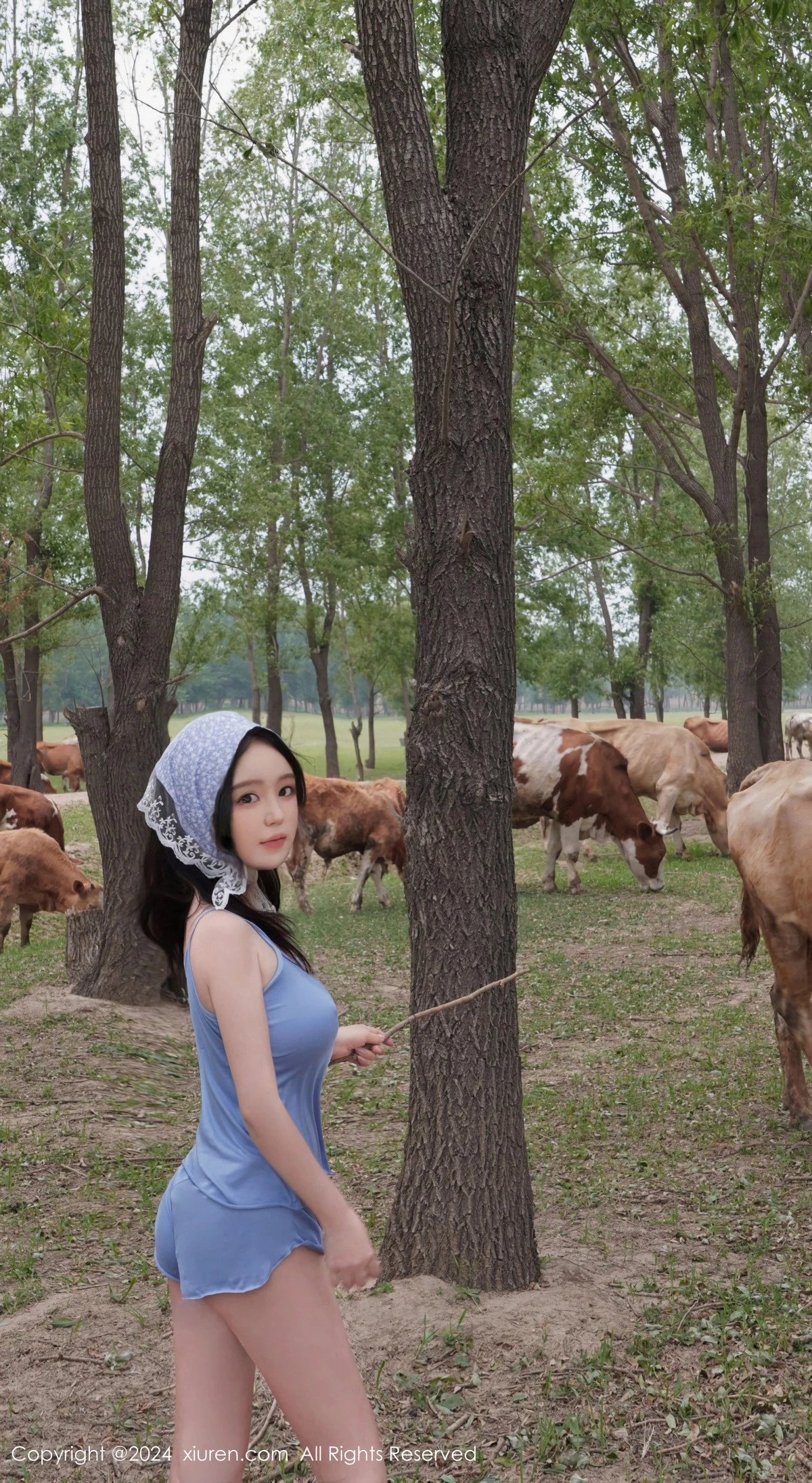 小薯条写真