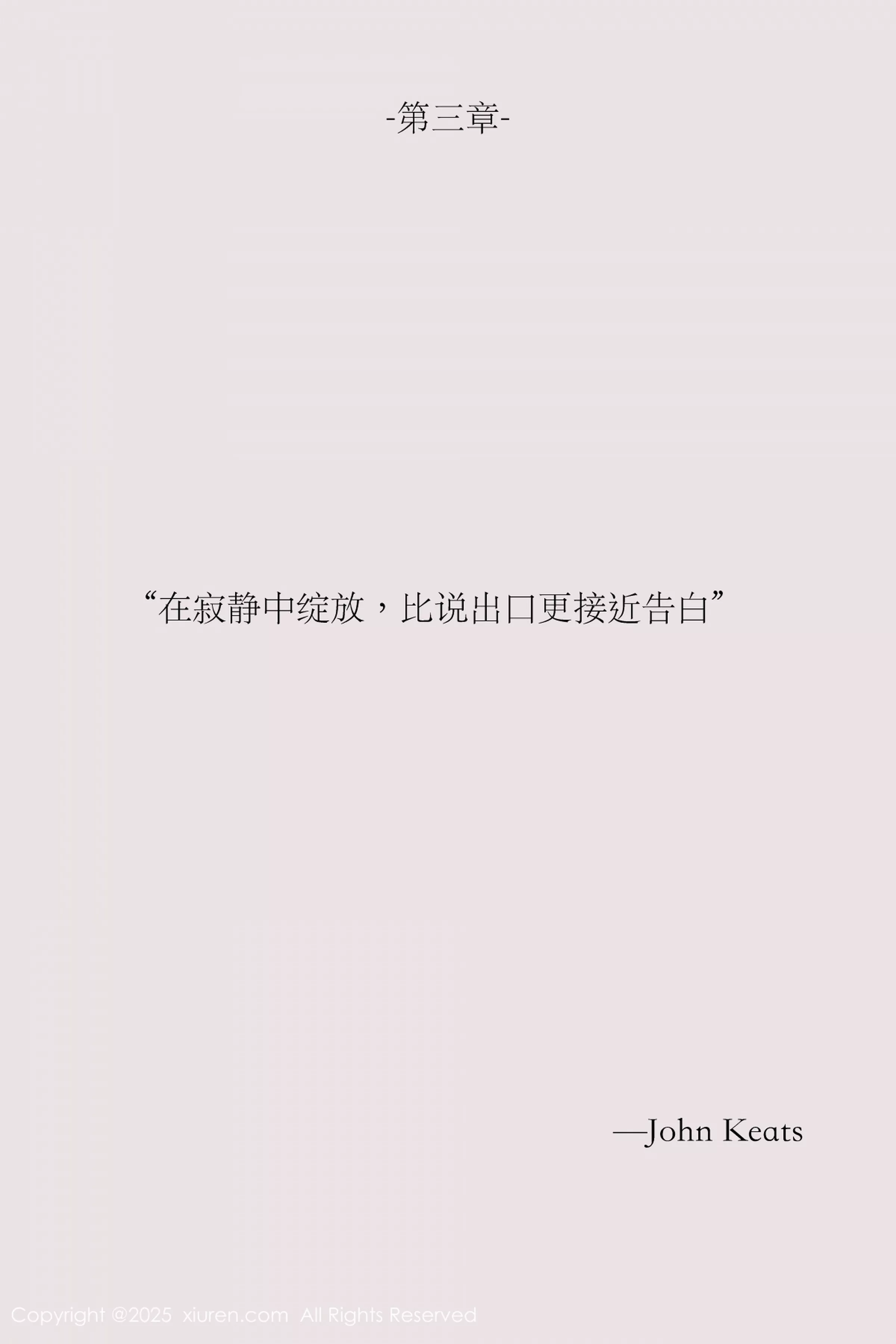 布丁写真